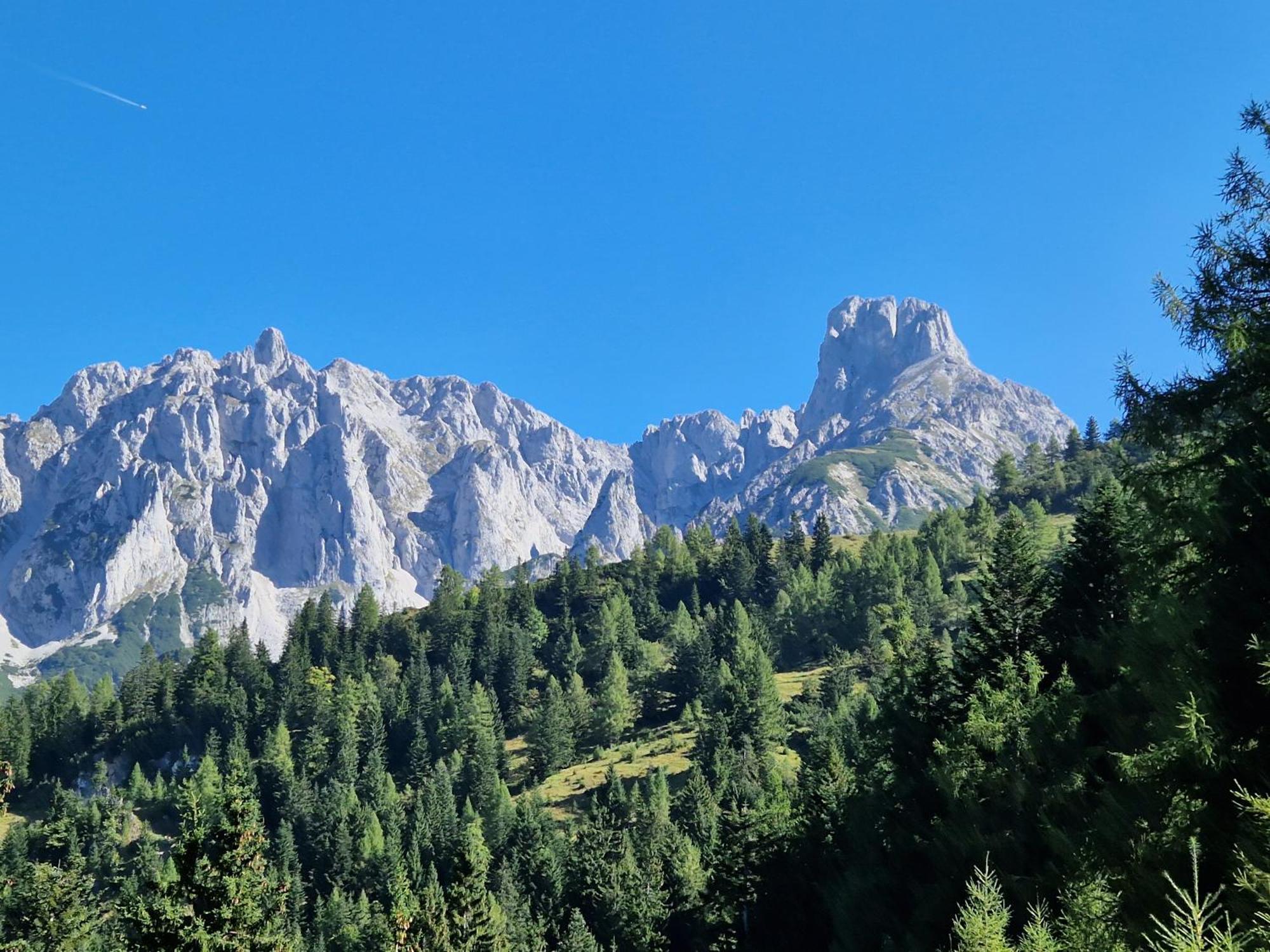 Kachelofenwohnung Poelzleitner Аннаберг-им-Ламмерталь Экстерьер фото